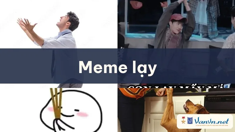 meme lạy
