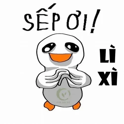 meme lì xì đâu
