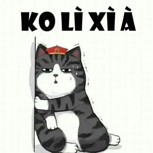 meme lì xì đâu