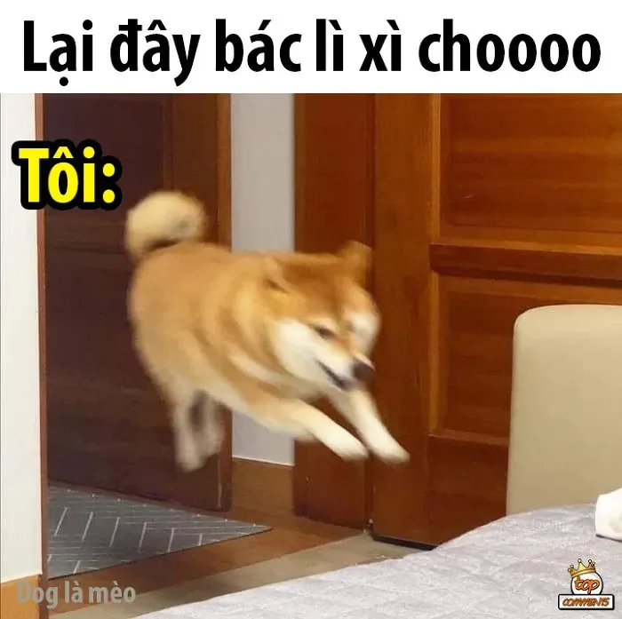 meme lì xì đâu