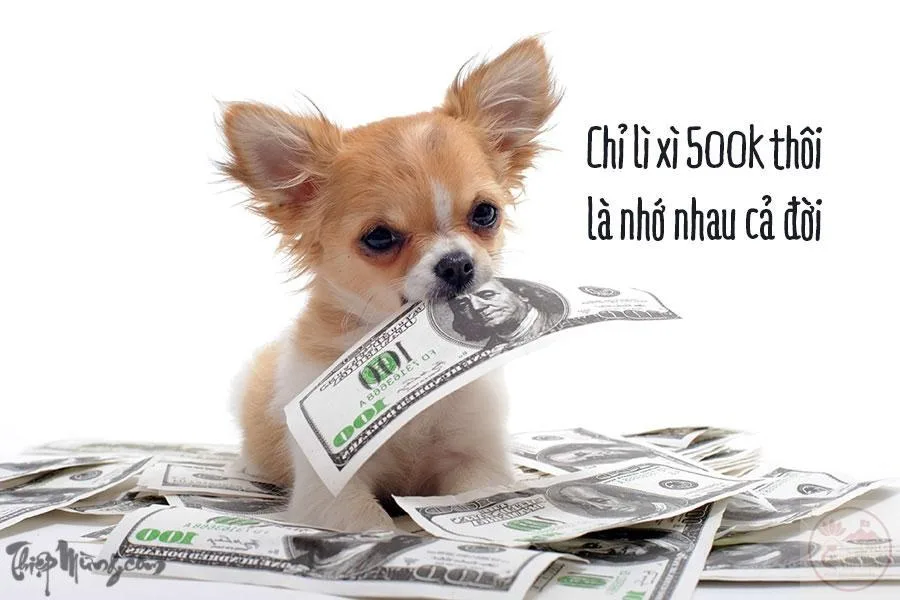 lì xì meme
