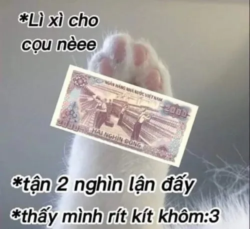 lì xì meme
