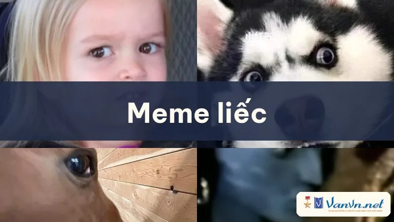 meme liếc