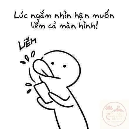 meme liếm màn hình