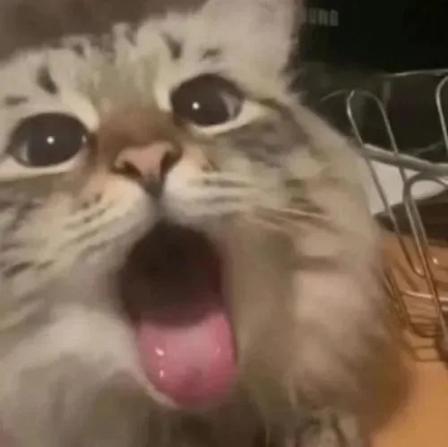 meme liếm mlem mlem