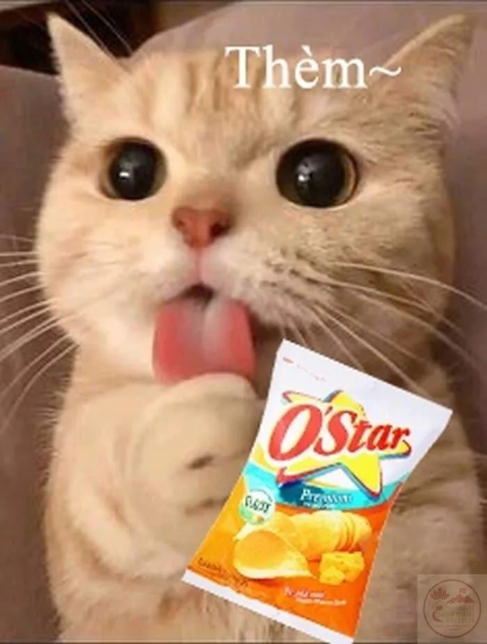 meme liếm đồ ăn