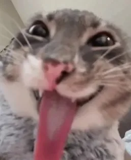 meme liếm mlem mlem