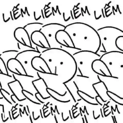 meme liếm màn hình