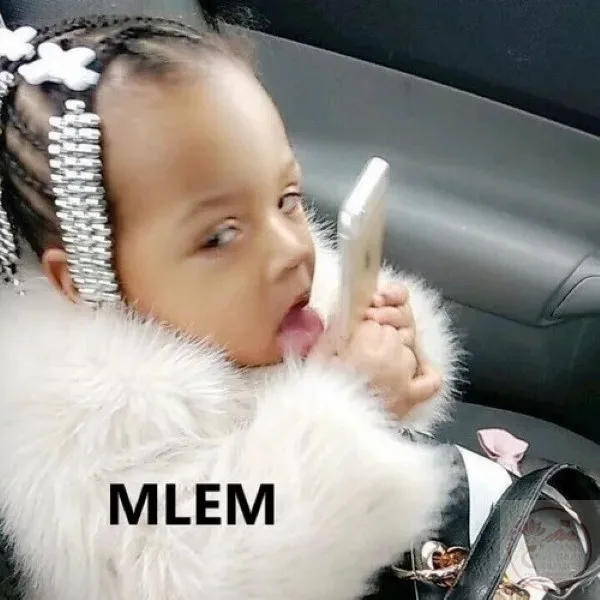meme liếm màn hình