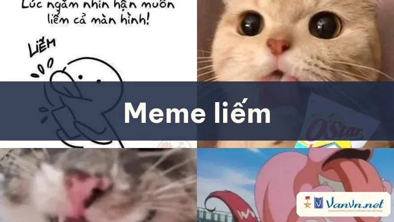 meme liếm