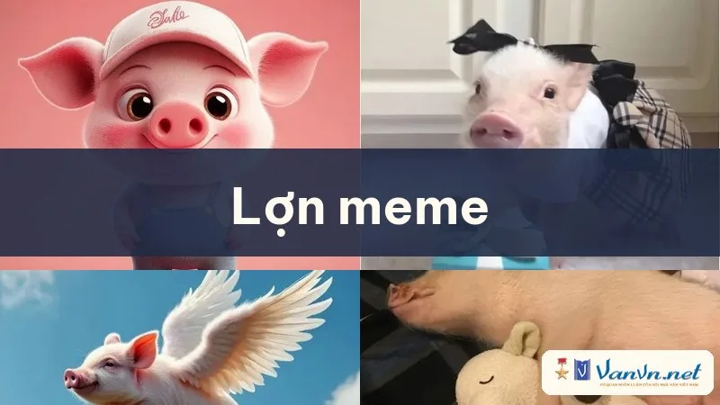 lợn meme