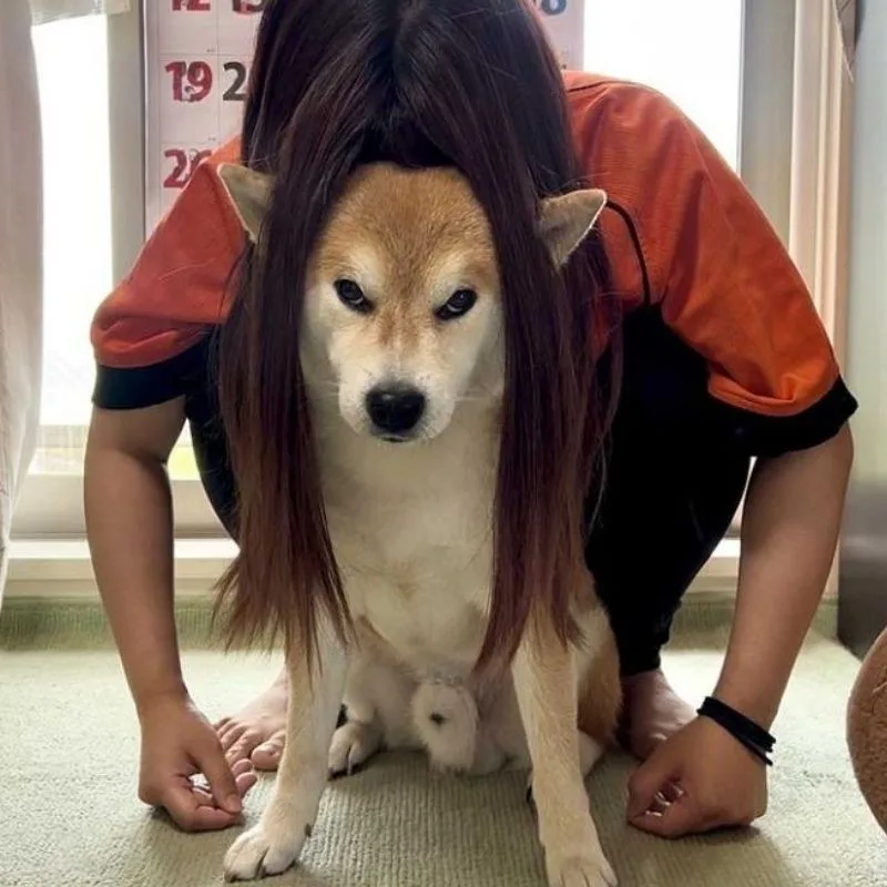 ảnh meme lườm