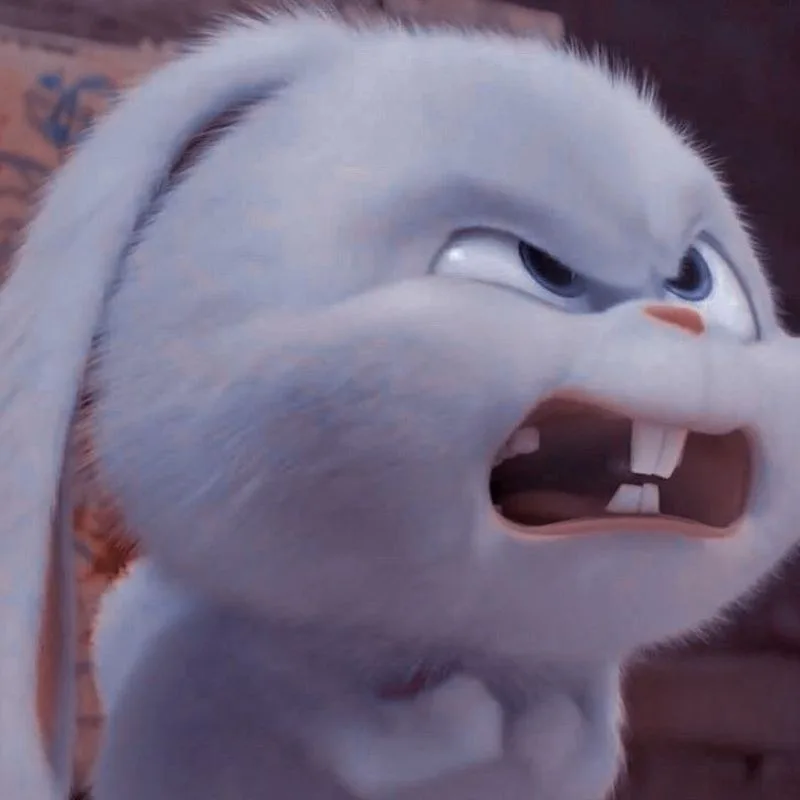 meme lườm mắt