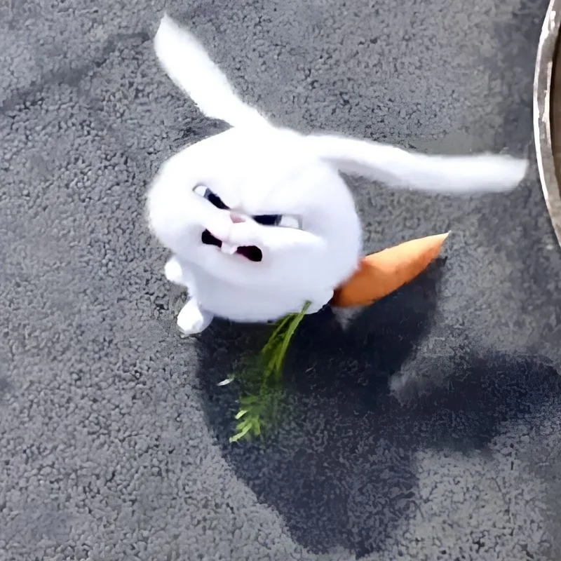 meme lườm mắt