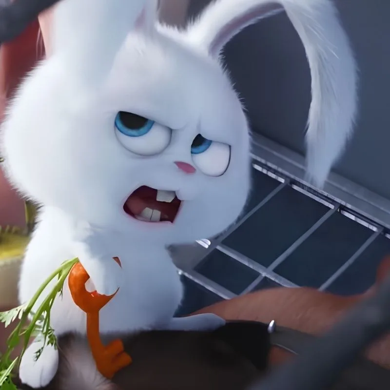 meme lườm mắt