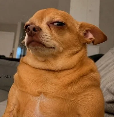 ảnh meme lườm