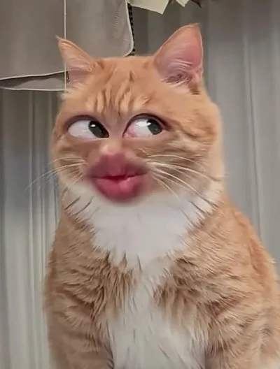 lườm meme