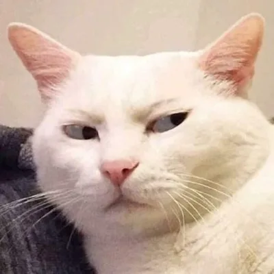 lườm meme