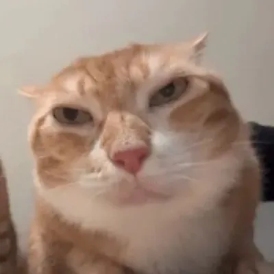 lườm meme