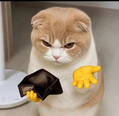 lườm meme