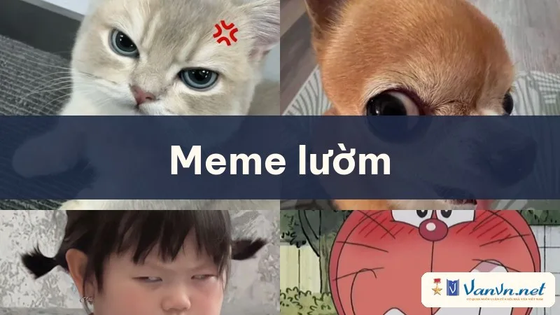 meme lườm