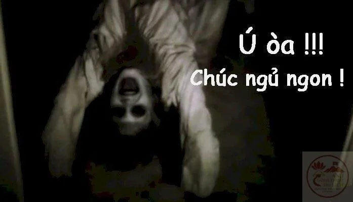 meme ma hài hước
