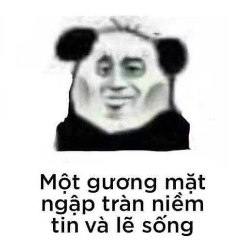 hình ảnh mắt thâm như gấu trúc