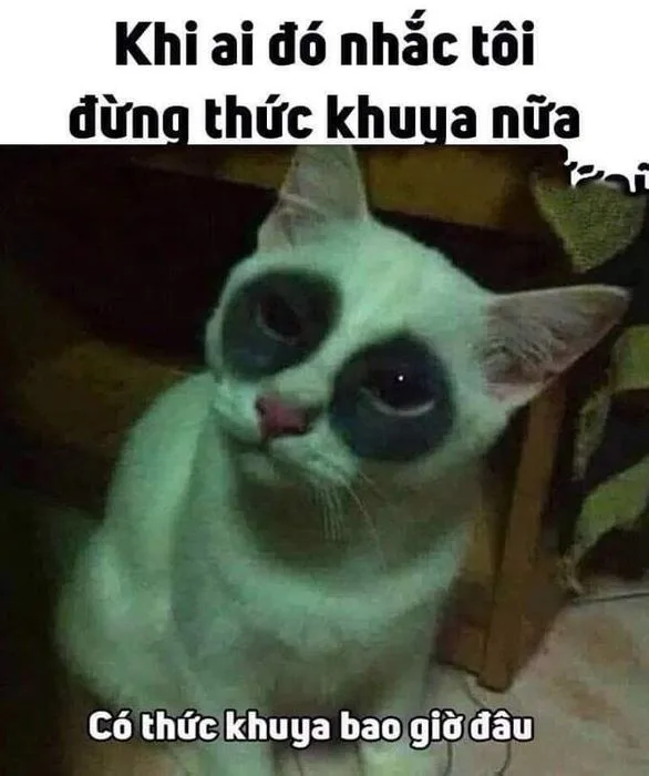 mắt thâm meme