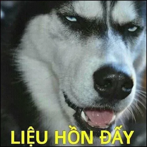 hình ảnh mắt thâm hài hước