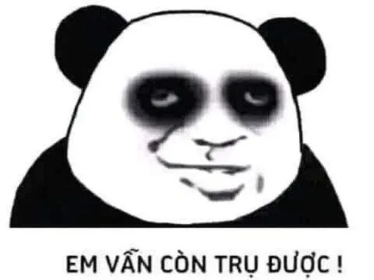 hình ảnh mắt thâm như gấu trúc