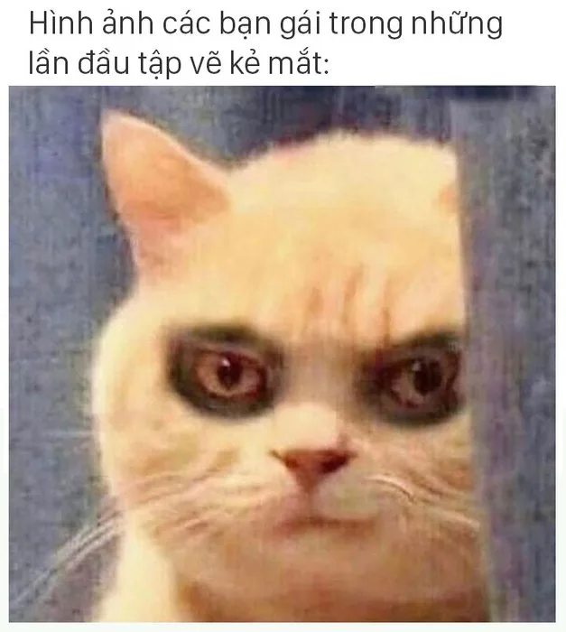 mắt thâm meme