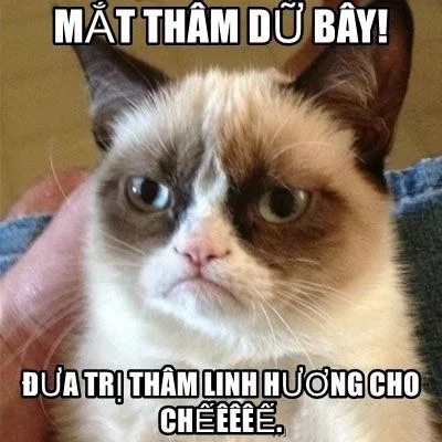 mắt thâm meme