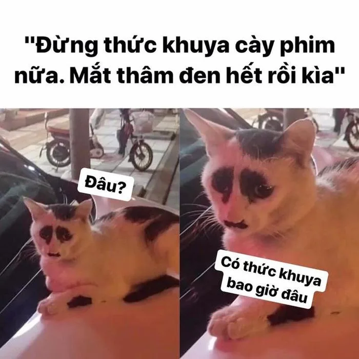 mắt thâm meme