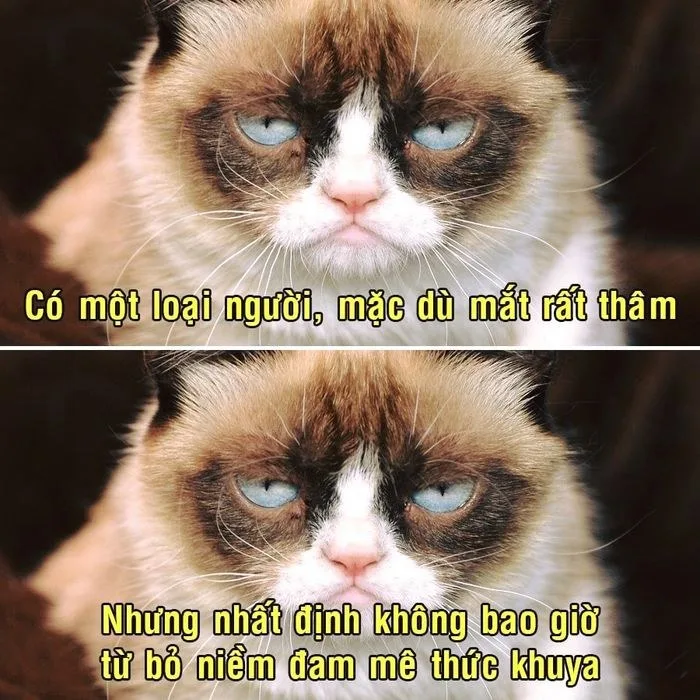 mắt thâm meme