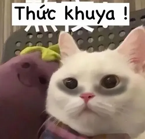 mắt thâm meme