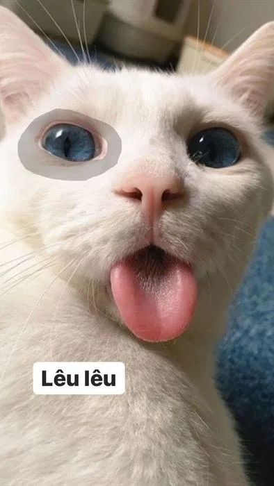 mắt thâm meme