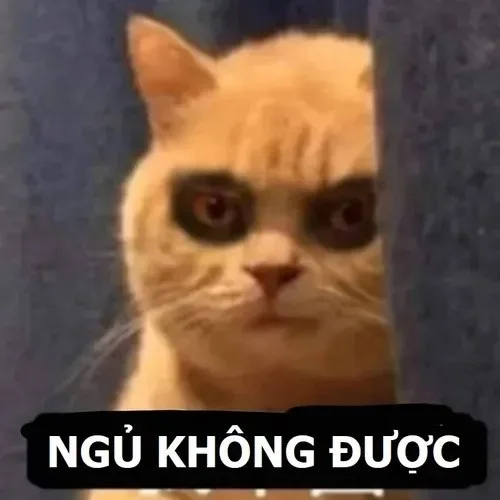 mắt thâm meme