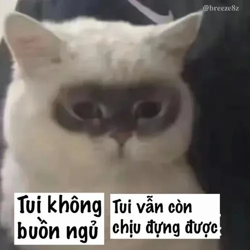 mắt thâm meme