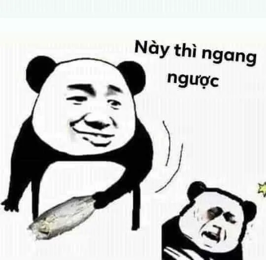 hình ảnh mắt thâm như gấu trúc