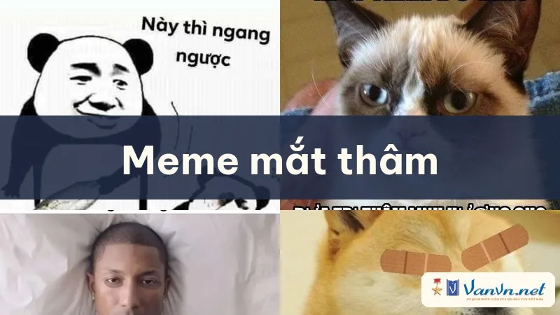 meme mắt thâm