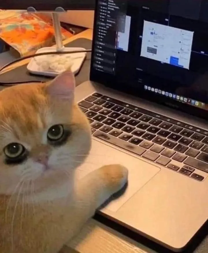 meme làm việc mệt mỏi
