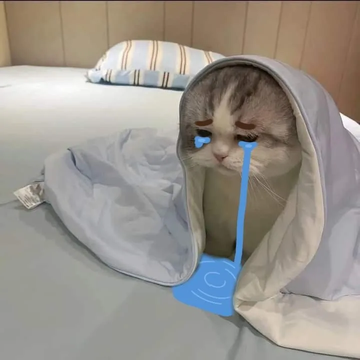 meme mệt mỏi cute