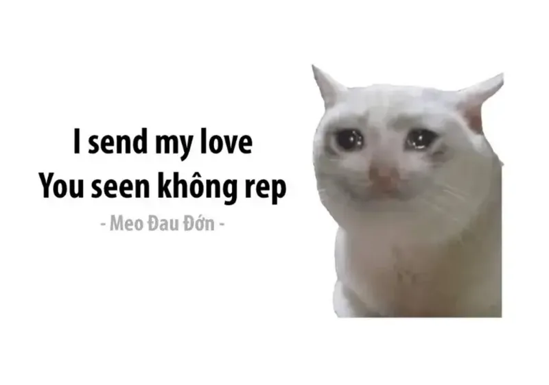 meme quá mệt mỏi rồi