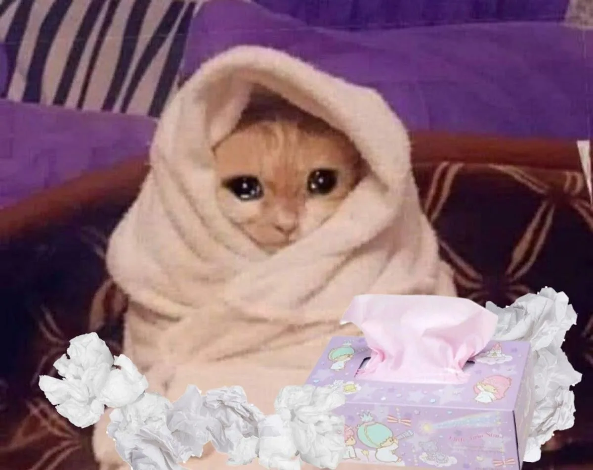 meme mệt mỏi cute