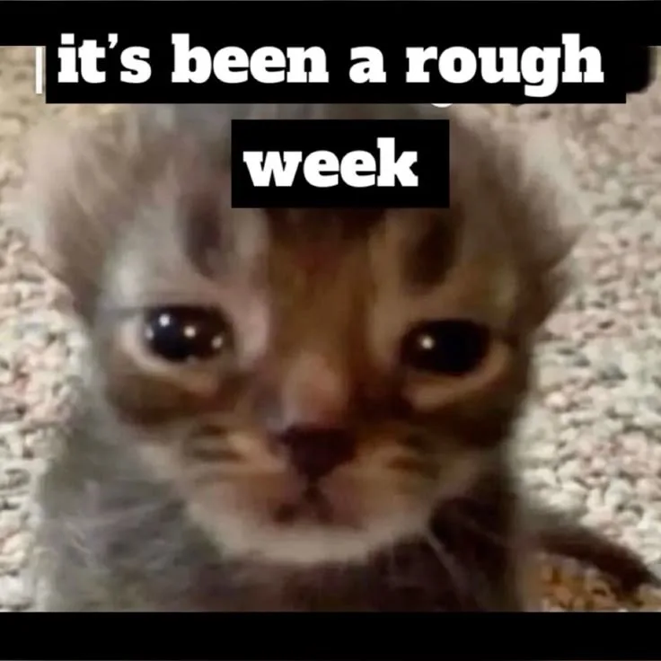 meme quá mệt mỏi rồi