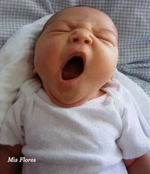meme em bé mệt mỏi