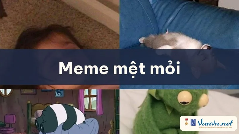 meme mệt mỏi