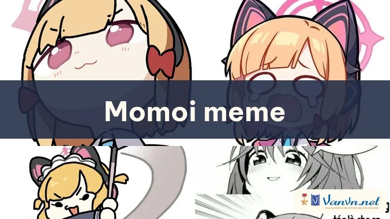 momoi meme