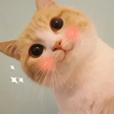 meme ngại đỏ mặt