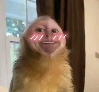 meme ngại đỏ mặt